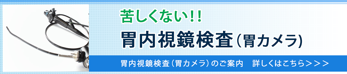 診療のご案内 東京都大田区の内科 三光クリニック蒲田駅前院 苦しくない胃内視鏡検査 痛くない 大腸内視鏡検査 日帰り手術 すい臓 肝臓 胆のうの病気やがん 日帰り手術