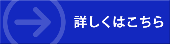 東京都大田区　膵臓