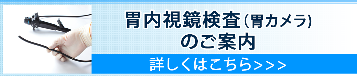 東京都大田区の内科 三光クリニック蒲田駅前院 苦しくない胃内視鏡検査 痛くない大腸内視鏡検査 日帰り手術 すい臓 肝臓 胆のうの病気やがん 日帰り手術