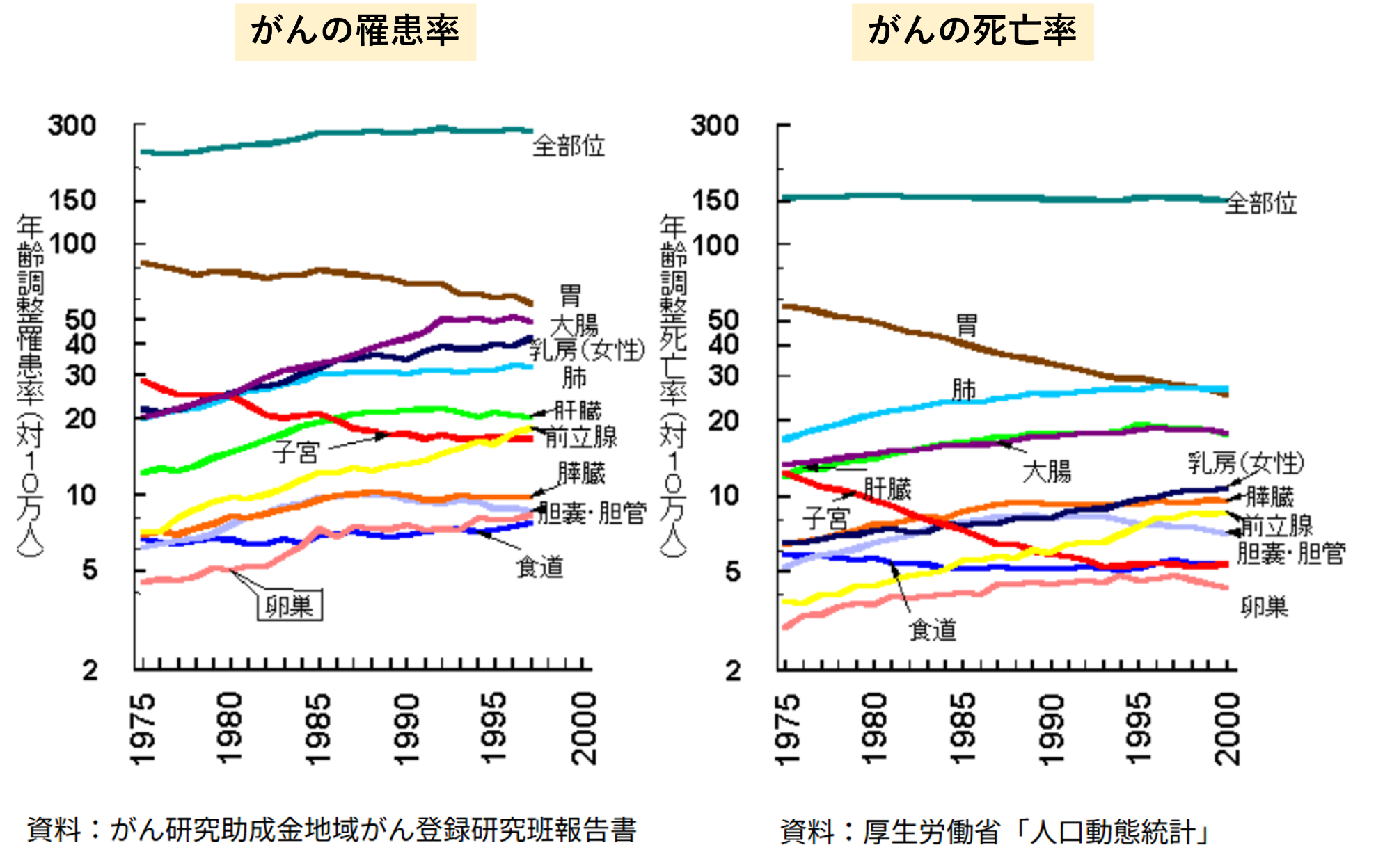 大腸がんは、定期的に検査を受けて早期発見・早期治療ができれば95％が治る病気です
